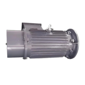 YZH 2412 Pole Marine Duty Anchor Winch Motor