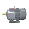 YH Series Marine Duty Motor