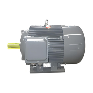 YH Series Marine Duty Motor