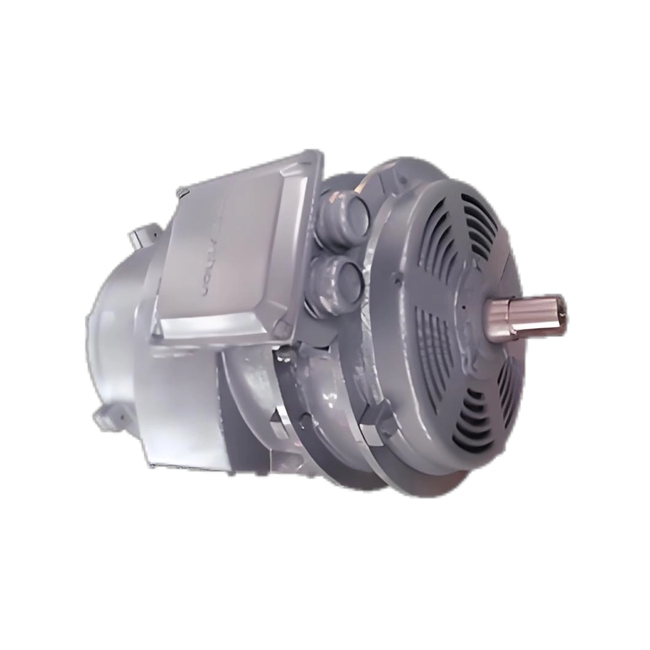 Marine Duty Deck Crane Motor