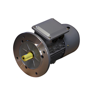 YEJH Series Electromagnetic Brake Motor